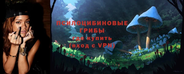 прущие грибы Бородино