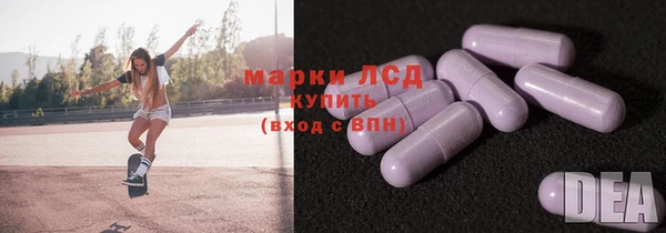 стаф Верея