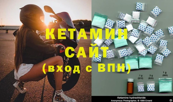 прущие грибы Бородино