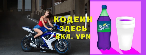 прущие грибы Бородино