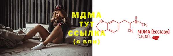 прущие грибы Бородино