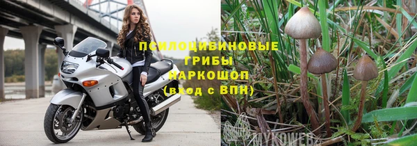 PSILOCYBIN Бугульма