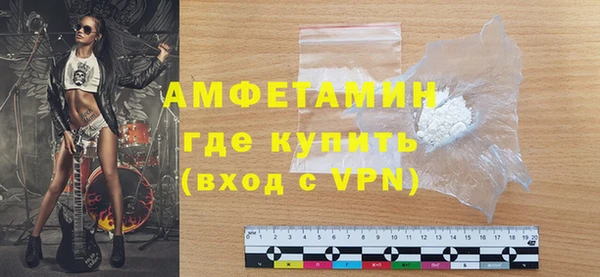 прущие грибы Бородино