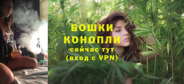 соль ск Верхний Тагил