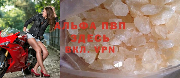 прущие грибы Бородино