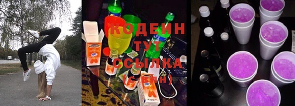 стаф Верея