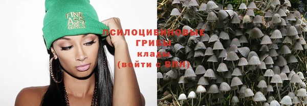 соль ск Верхний Тагил